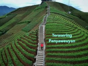 Terasering Panyaweuyan